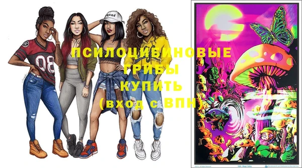 скорость Гусев