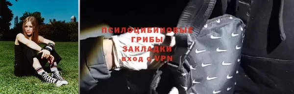 твердый Гусь-Хрустальный