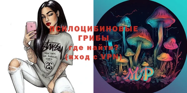 твердый Гусь-Хрустальный