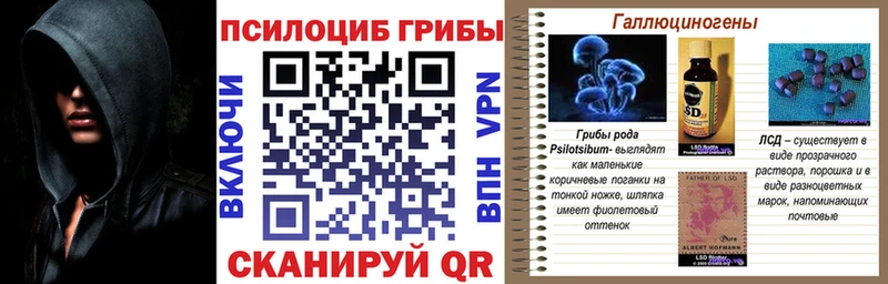 Псилоцибиновые грибы Psilocybine cubensis  купить  сайты  Калязин 